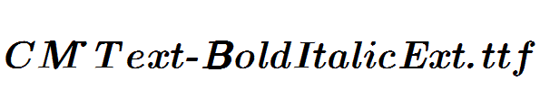 CM_Text-BoldItalicExt.ttf