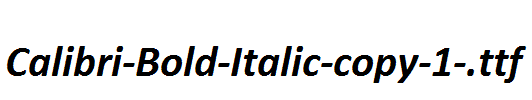 Calibri-Bold-Italic-copy-1-.ttf