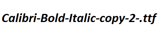 Calibri-Bold-Italic-copy-2-.ttf