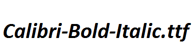 Calibri-Bold-Italic.ttf