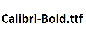 Calibri-Bold.ttf