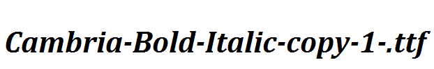 Cambria-Bold-Italic-copy-1-.ttf