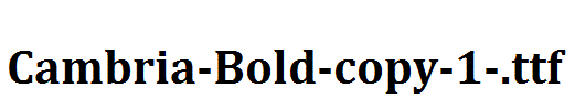 Cambria-Bold-copy-1-.ttf