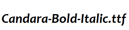 Candara-Bold-Italic.ttf