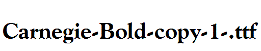 Carnegie-Bold-copy-1-.ttf