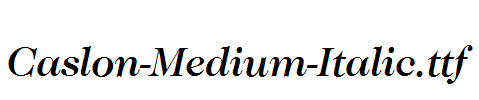 Caslon-Medium-Italic.ttf