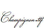Champignon.ttf