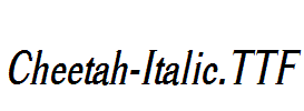 Cheetah-Italic.ttf