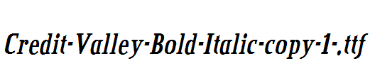 Credit-Valley-Bold-Italic-copy-1-.ttf