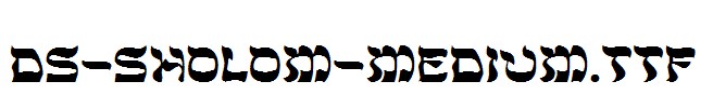 DS-Sholom-Medium.ttf