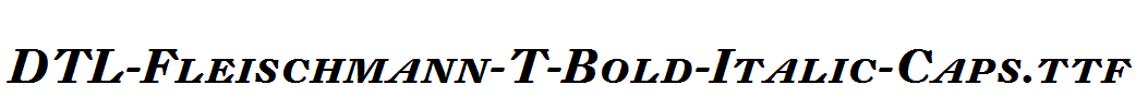 DTL-Fleischmann-T-Bold-Italic-Caps.ttf