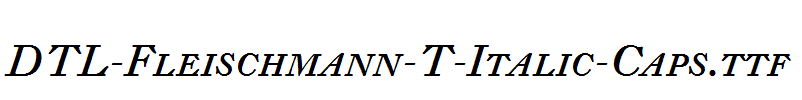 DTL-Fleischmann-T-Italic-Caps.ttf