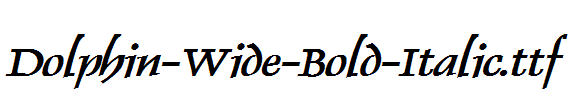 Dolphin-Wide-Bold-Italic.ttf