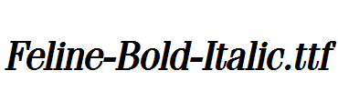 Feline-Bold-Italic.ttf