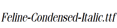 Feline-Condensed-Italic.ttf
