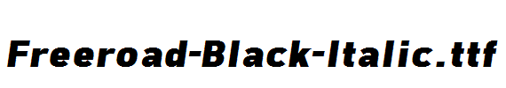 Freeroad-Black-Italic.ttf