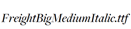 FreightBigMediumItalic.ttf