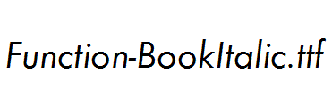 Function-BookItalic.ttf