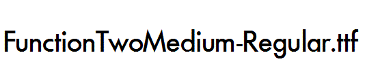 FunctionTwoMedium-Regular.ttf