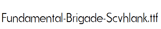 Fundamental-Brigade-Scvhlank.ttf