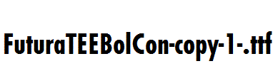 FuturaTEEBolCon-copy-1-.ttf