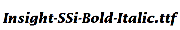 Insight-SSi-Bold-Italic.ttf