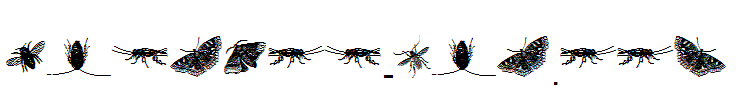 insects-one.ttf