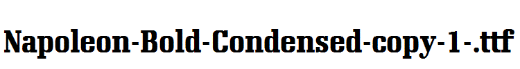 Napoleon-Bold-Condensed-copy-1-.ttf