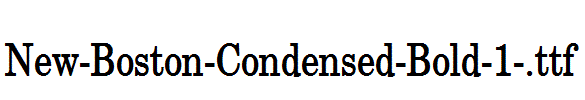 New-Boston-Condensed-Bold-1-.ttf