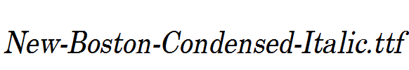 New-Boston-Condensed-Italic.ttf