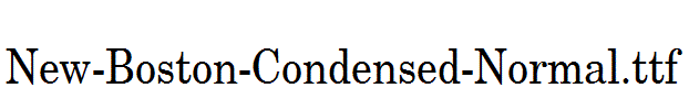 New-Boston-Condensed-Normal.ttf