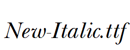 New-Italic.ttf
