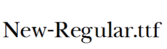 New-Regular.ttf