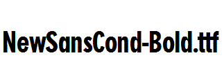 NewSansCond-Bold.ttf