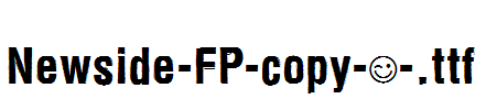 Newside-FP-copy-1-.ttf