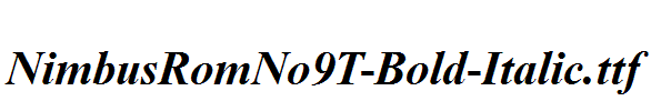 NimbusRomNo9T-Bold-Italic.ttf