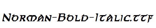 Norman-Bold-Italic.ttf