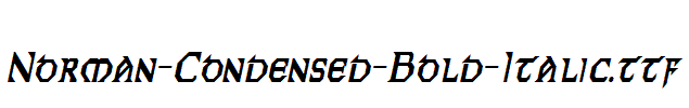 Norman-Condensed-Bold-Italic.ttf