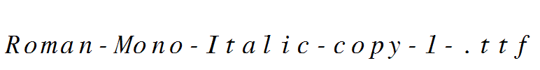 Roman-Mono-Italic-copy-1-.ttf