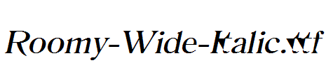 Roomy-Wide-Italic.ttf