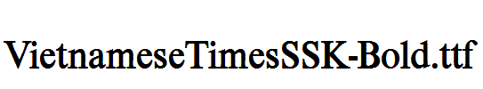 VietnameseTimesSSK-Bold.ttf