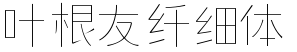 叶根友纤细体